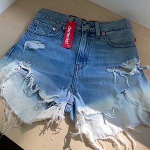 NWT Denimist Denim Shorts